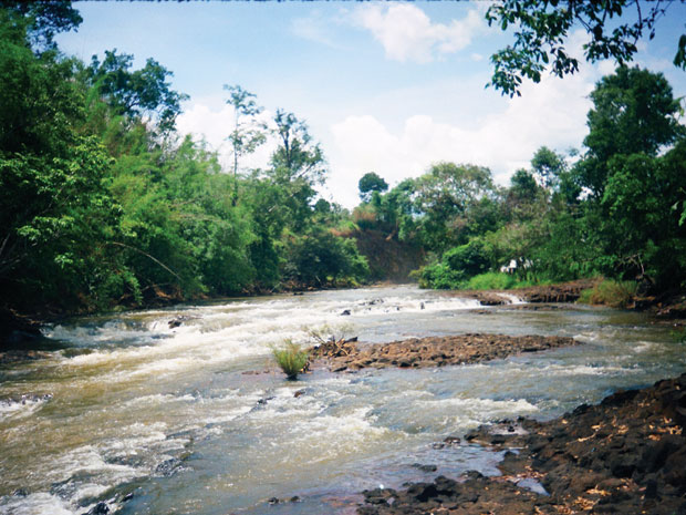 Hình minh họa