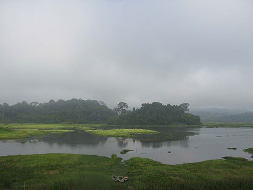 Hình minh họa